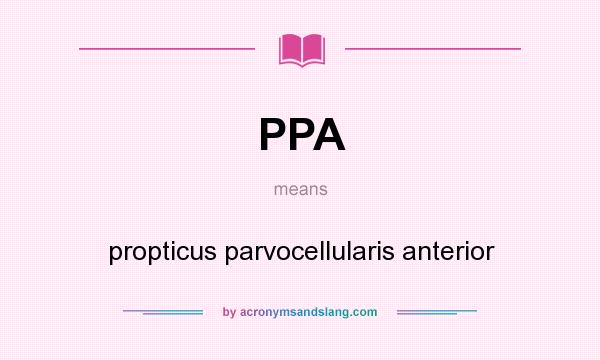 What does PPA mean? It stands for propticus parvocellularis anterior