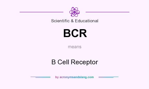 What does BCR mean? It stands for B Cell Receptor
