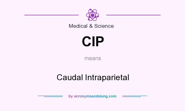 What does CIP mean? It stands for Caudal Intraparietal