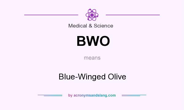 What does BWO mean? It stands for Blue-Winged Olive