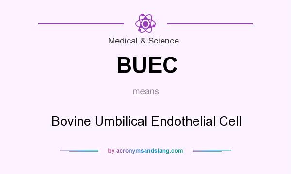 What does BUEC mean? It stands for Bovine Umbilical Endothelial Cell