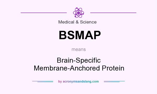 What does BSMAP mean? It stands for Brain-Specific Membrane-Anchored Protein