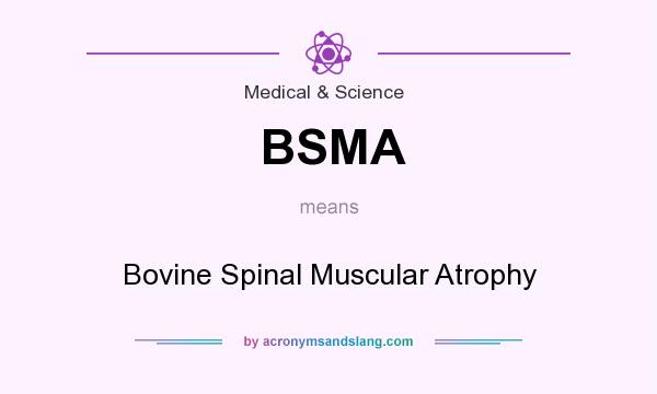 What does BSMA mean? It stands for Bovine Spinal Muscular Atrophy