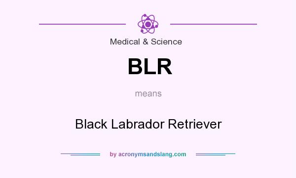 What does BLR mean? It stands for Black Labrador Retriever