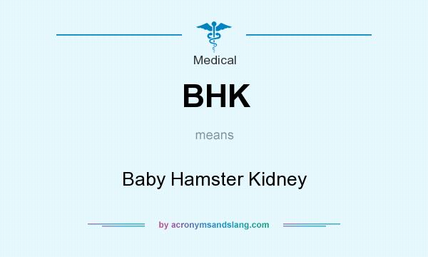 What does BHK mean? It stands for Baby Hamster Kidney