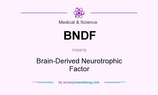 What does BNDF mean? It stands for Brain-Derived Neurotrophic Factor