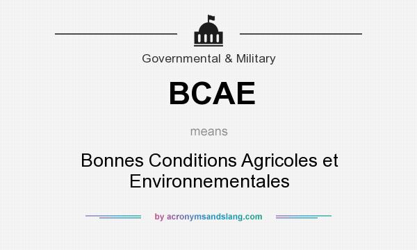 What does BCAE mean? It stands for Bonnes Conditions Agricoles et Environnementales