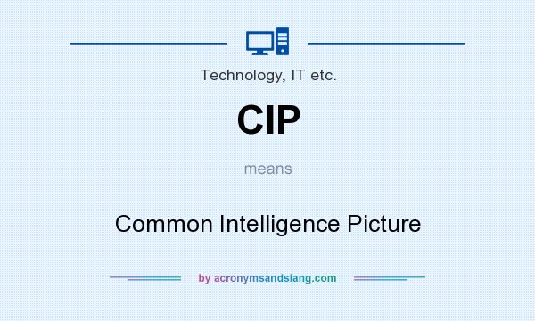 What does CIP mean? It stands for Common Intelligence Picture