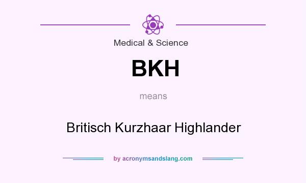 What does BKH mean? It stands for Britisch Kurzhaar Highlander