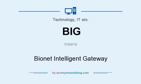 What does BIG mean? It stands for Bionet Intelligent Gateway
