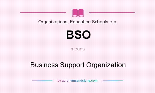 What does BSO mean? It stands for Business Support Organization