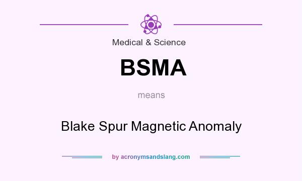 What does BSMA mean? It stands for Blake Spur Magnetic Anomaly