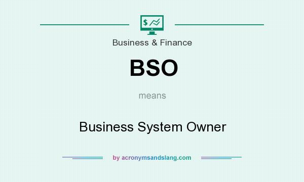 What does BSO mean? It stands for Business System Owner