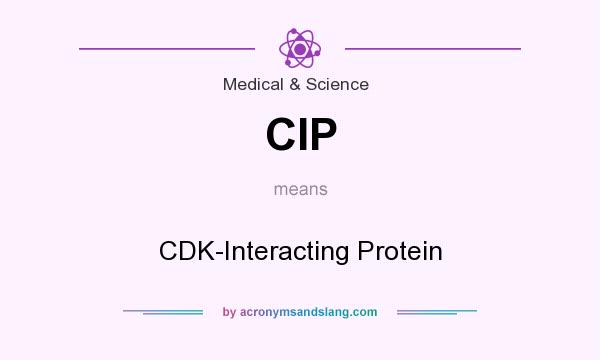 What does CIP mean? It stands for CDK-Interacting Protein