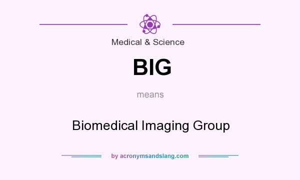 What does BIG mean? It stands for Biomedical Imaging Group