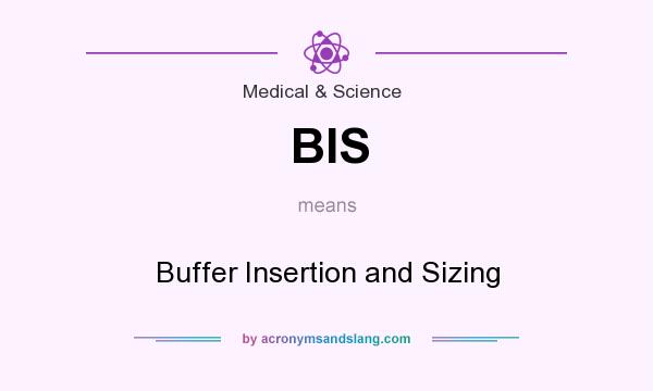 What does BIS mean? It stands for Buffer Insertion and Sizing