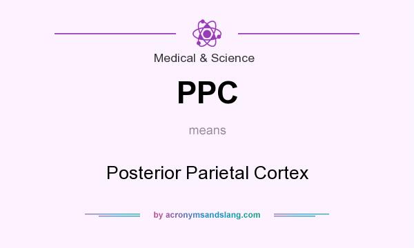 What does PPC mean? It stands for Posterior Parietal Cortex