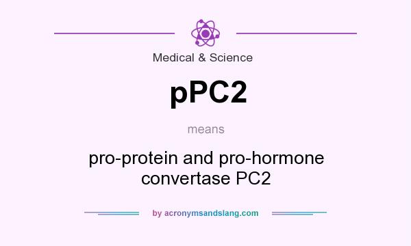 What does pPC2 mean? It stands for pro-protein and pro-hormone convertase PC2