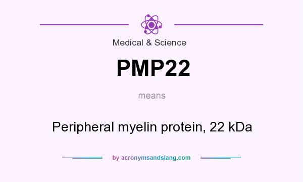What does PMP22 mean? It stands for Peripheral myelin protein, 22 kDa