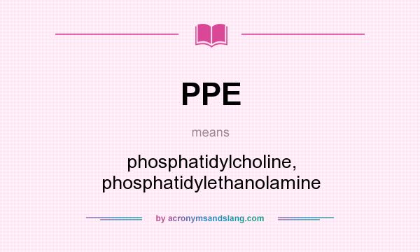 What does PPE mean? It stands for phosphatidylcholine, phosphatidylethanolamine
