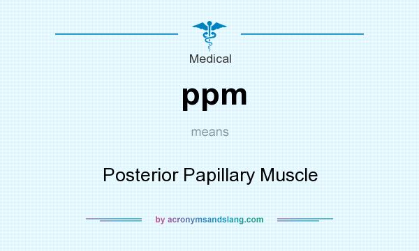 What does ppm mean? It stands for Posterior Papillary Muscle
