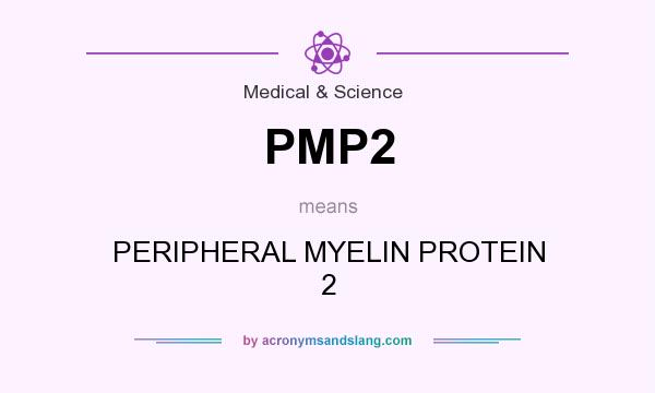 What does PMP2 mean? It stands for PERIPHERAL MYELIN PROTEIN 2