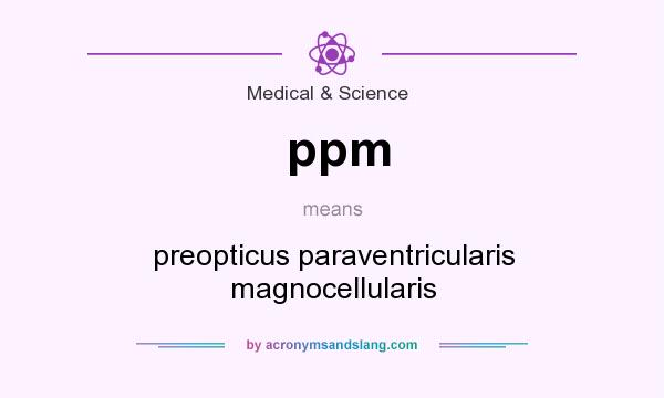 What does ppm mean? It stands for preopticus paraventricularis magnocellularis