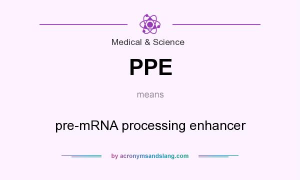 What does PPE mean? It stands for pre-mRNA processing enhancer