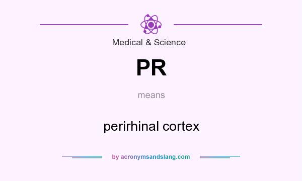 What does PR mean? It stands for perirhinal cortex