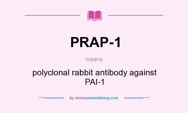 What does PRAP-1 mean? It stands for polyclonal rabbit antibody against PAI-1