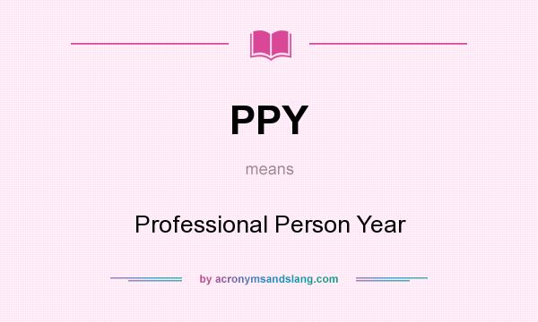 What does PPY mean? It stands for Professional Person Year