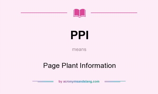 What does PPI mean? It stands for Page Plant Information