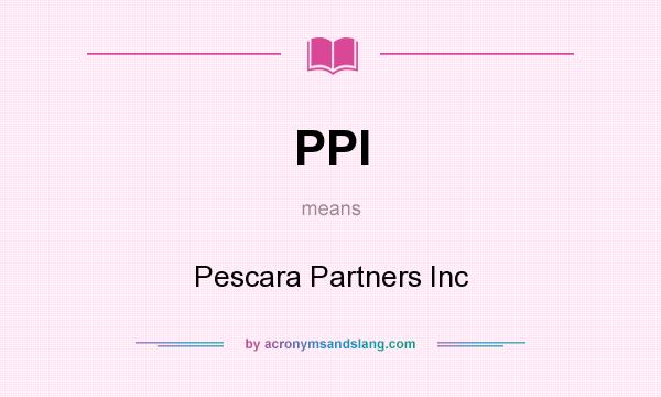 What does PPI mean? It stands for Pescara Partners Inc