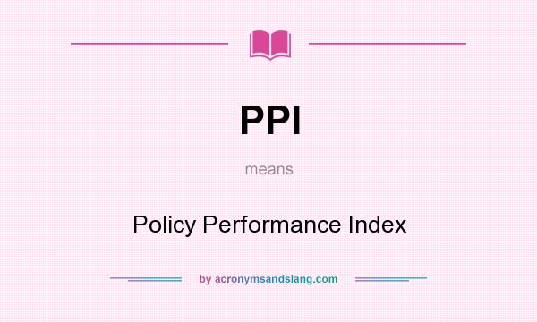 What does PPI mean? It stands for Policy Performance Index