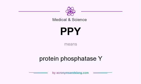 What does PPY mean? It stands for protein phosphatase Y