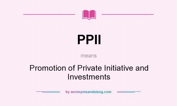 What does PPII mean? It stands for Promotion of Private Initiative and Investments