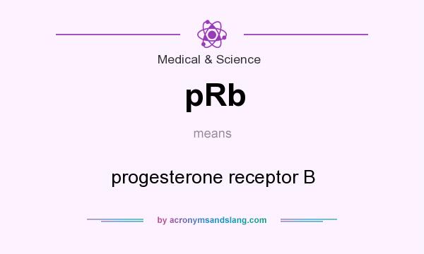 What does pRb mean? It stands for progesterone receptor B