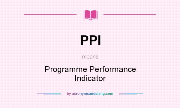What does PPI mean? It stands for Programme Performance Indicator