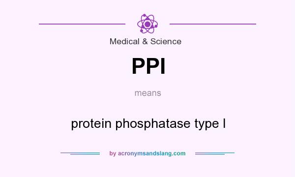 What does PPI mean? It stands for protein phosphatase type I