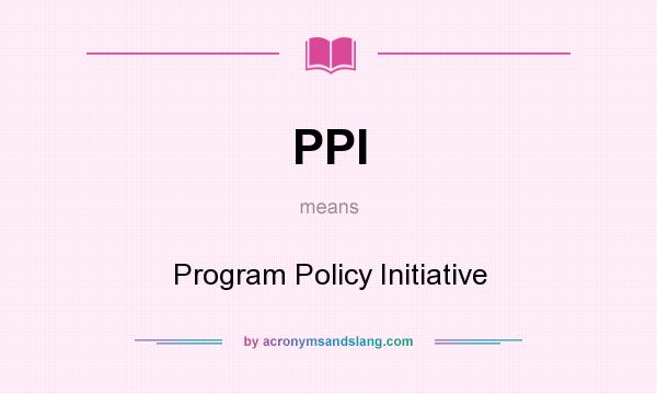 What does PPI mean? It stands for Program Policy Initiative