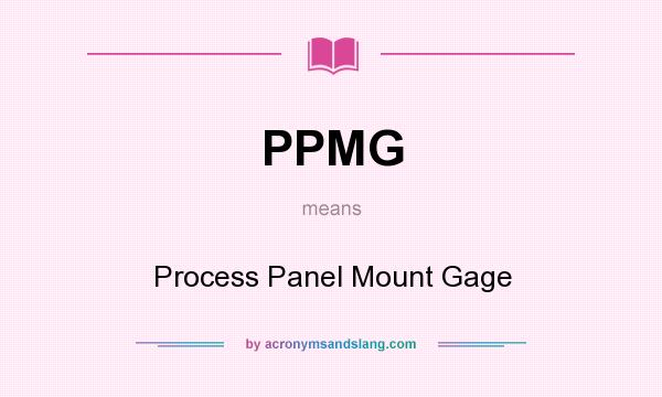 What does PPMG mean? It stands for Process Panel Mount Gage