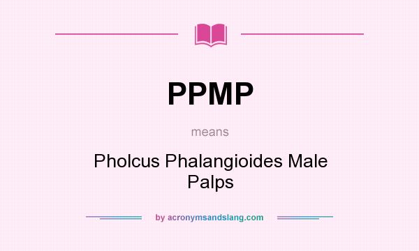 What does PPMP mean? It stands for Pholcus Phalangioides Male Palps