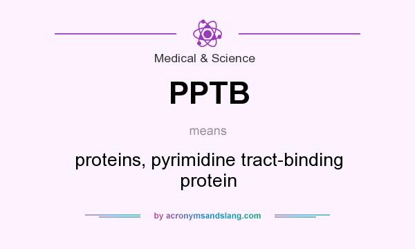 What does PPTB mean? It stands for proteins, pyrimidine tract-binding protein