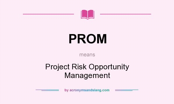 What does PROM mean? It stands for Project Risk Opportunity Management