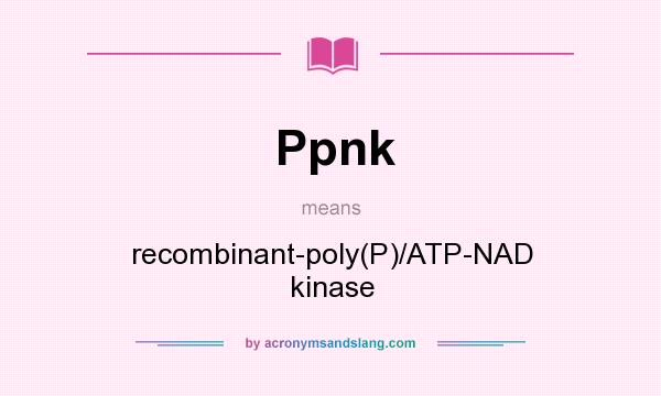 What does Ppnk mean? It stands for recombinant-poly(P)/ATP-NAD kinase