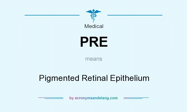 What does PRE mean? It stands for Pigmented Retinal Epithelium