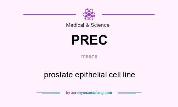 What does PREC mean? It stands for prostate epithelial cell line