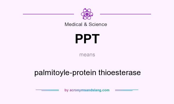 What does PPT mean? It stands for palmitoyle-protein thioesterase