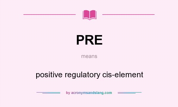 What does PRE mean? It stands for positive regulatory cis-element