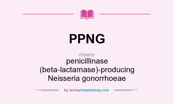 What does PPNG mean? It stands for penicillinase (beta-lactamase)-producing Neisseria gonorrhoeae